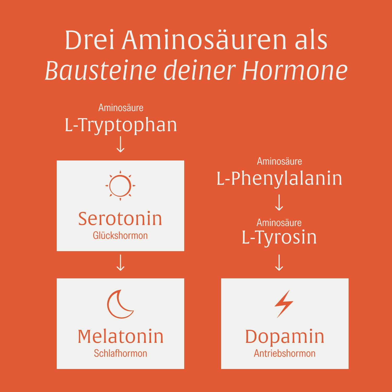 NATURTREU® Motivationskick - 500mg L-Tryptophan Kapseln | kombiniert mit L-Tyrosin & L-Phenylalanin - Vorteilsbundle 5er Paket - Vegan und in Deutschland produziert - Bausteinkomplex