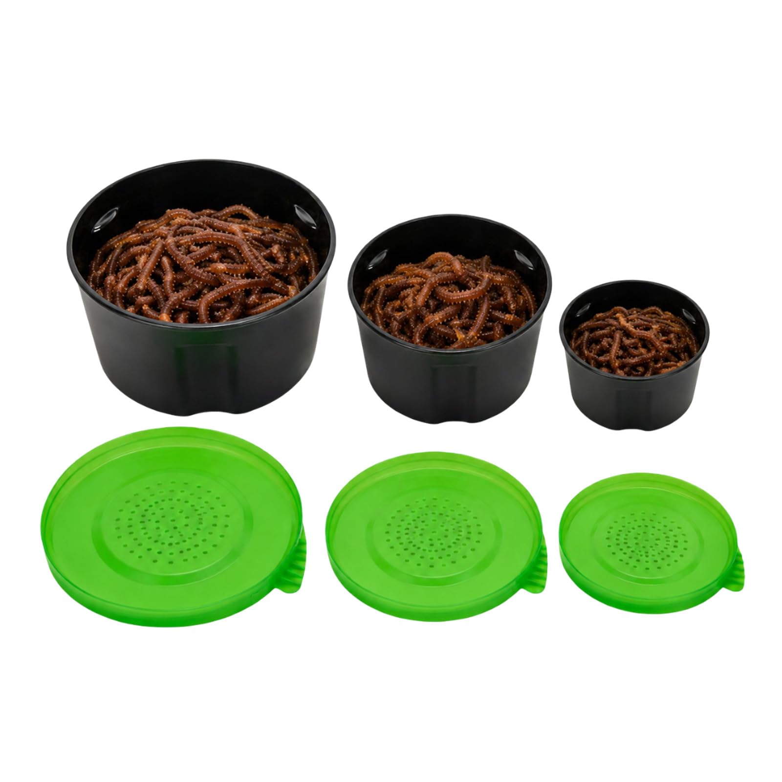 GengHeXIN 3Pcs Plastic Live Bait Storage Boxes for Fishing