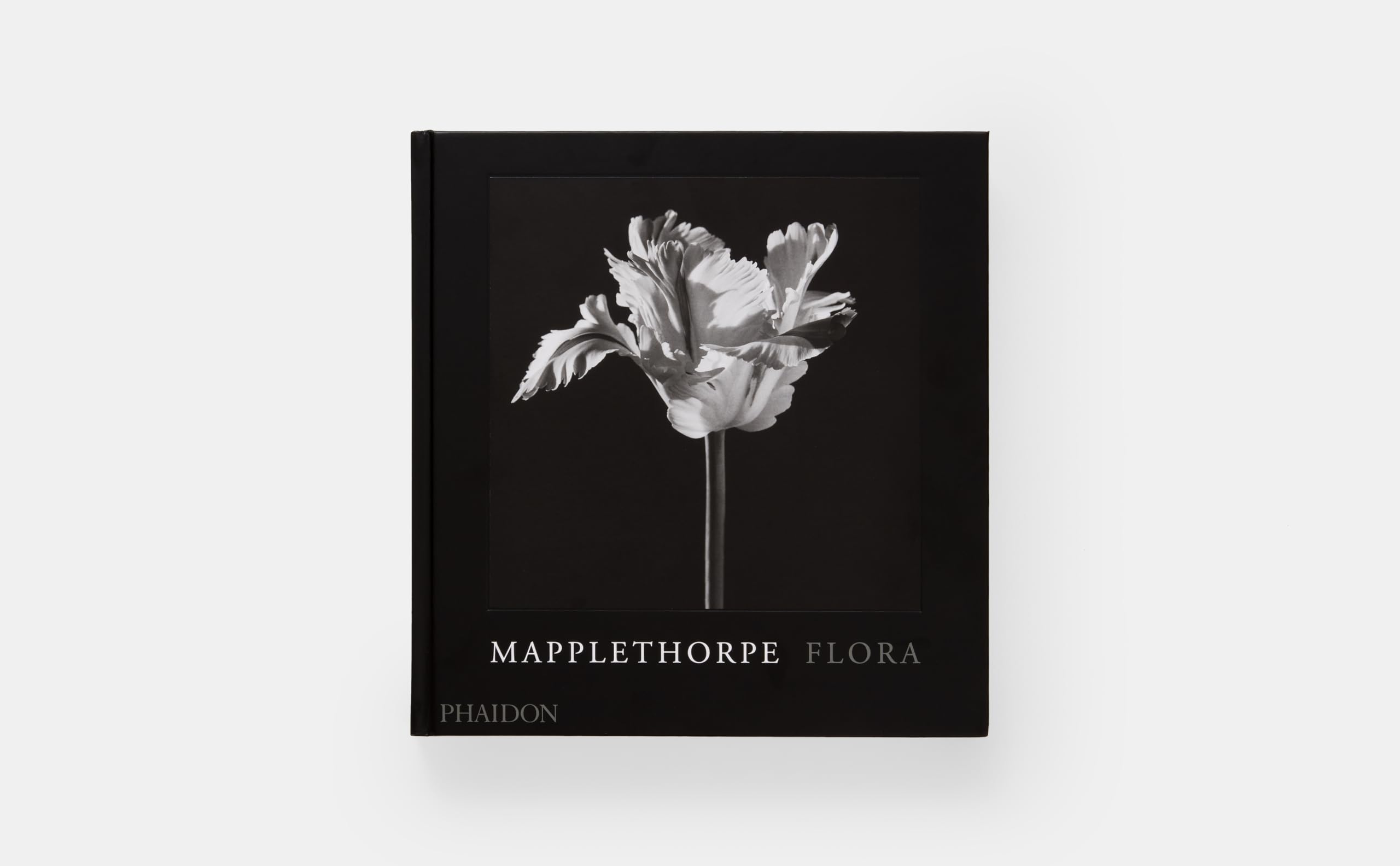 Robert Mapplethorpe. Flora. The complete flowers