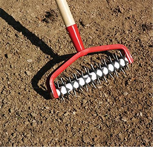 Can you aerate lawn in august