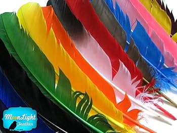 Amazon.co.jp: 羽根、七面鳥の羽 - オレンジ 七面鳥の丸みを帯び