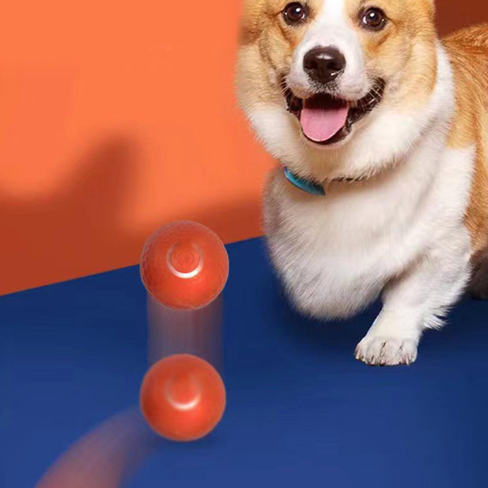 1288766_6