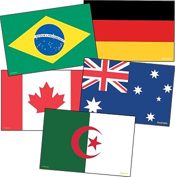 Edupress International Flags Accents EP63238, 4 x 6 Inches