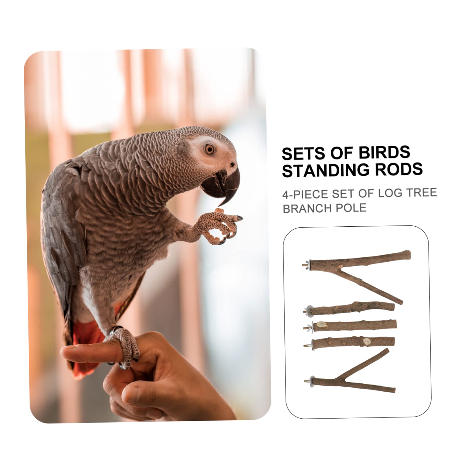 DOITOOL 5ensembles Perchoir à Oiseaux De Sèchage Naturel De Barres De Jeu pour Oiseaux avec Support Accessoires De Cage pour Perruches Et Perroquets Couleurs Aléatoires