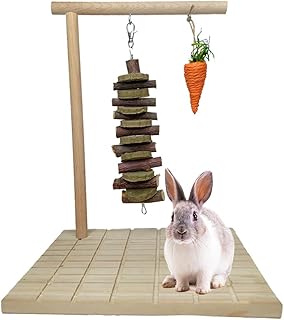 kathson Bunny Chew Toys for Teeth Grinding,Rabbit Wooden Scratch Board Feet Pad Rotatable Pet Play Toy for Chinchilla Guinea Pigs Other Rodent Pets