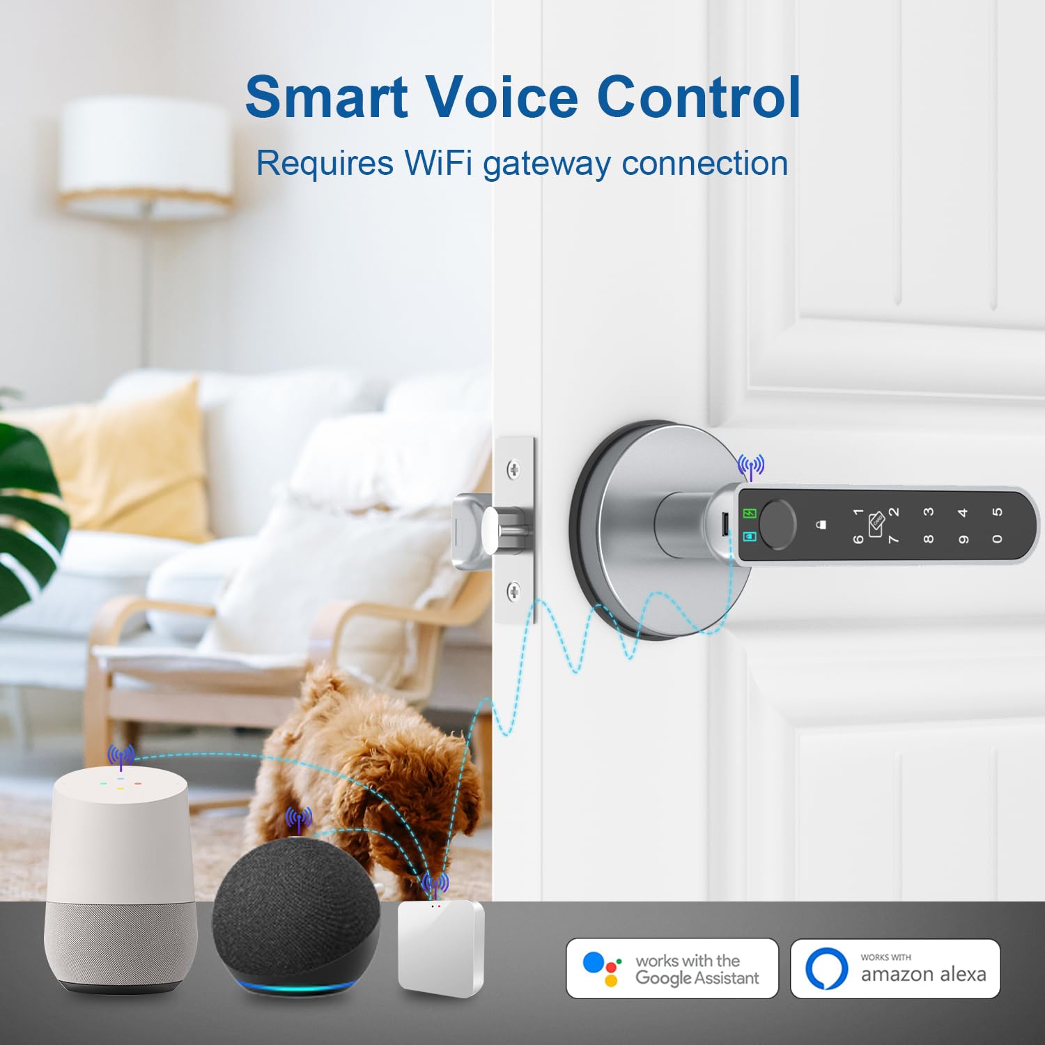 Fingerabdruck-Türschloss, Fingerabdruck-Türknäufe Daumenabdruck Türknauf mit App-Steuerung/Fingerabdruck/IC-Karten/Codes/Schlüssel, Smart Lock für Schlafzimmer Home Apartment Grau