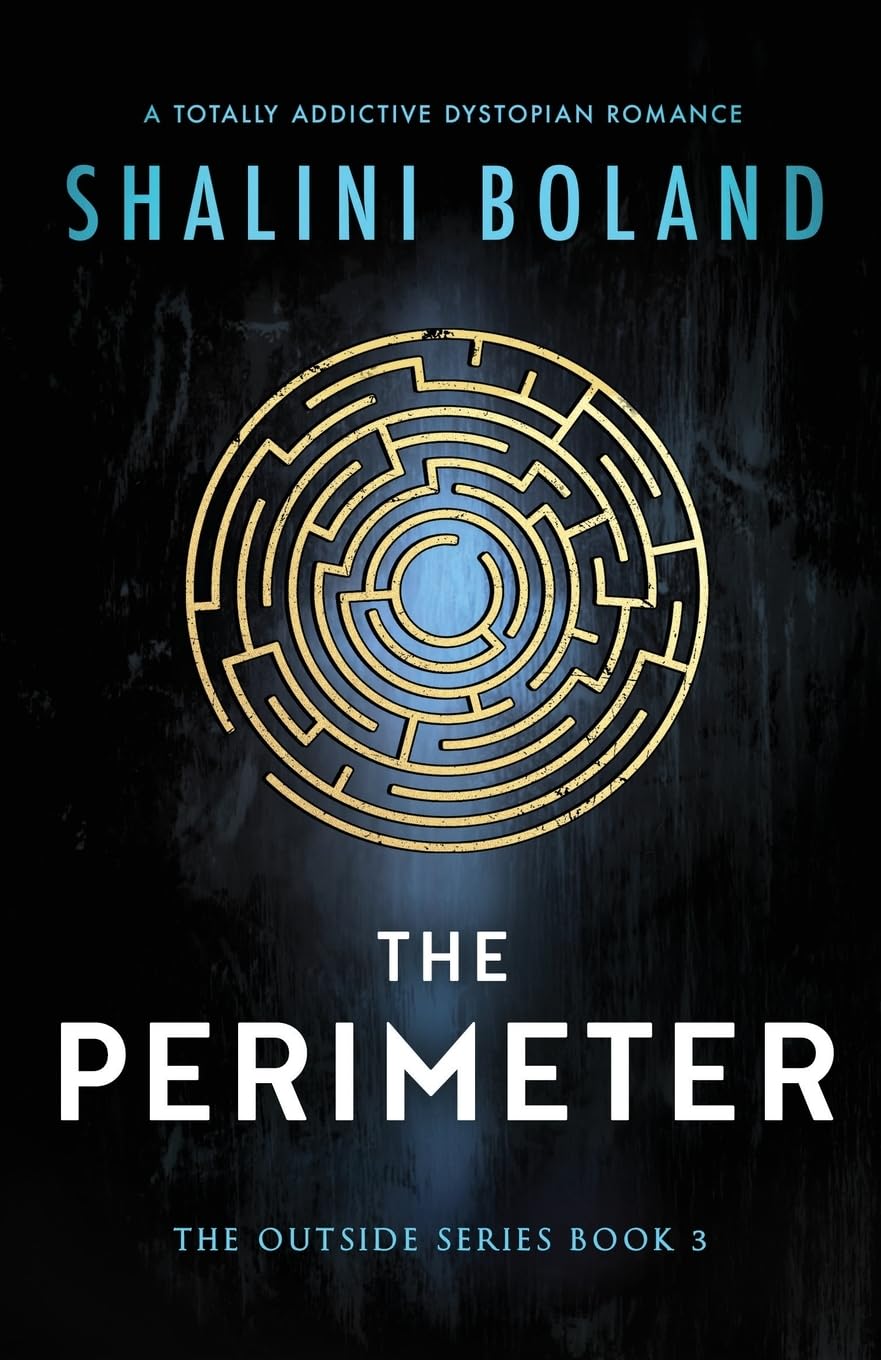 The Perimeter: A totally addictive dystopian romance: 3 (Outside)