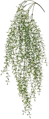 【2025年NEW】東京堂(Tokyodo) ジルスマイラックスロングバイン L96×W40cm 1入 FG001500-zzz