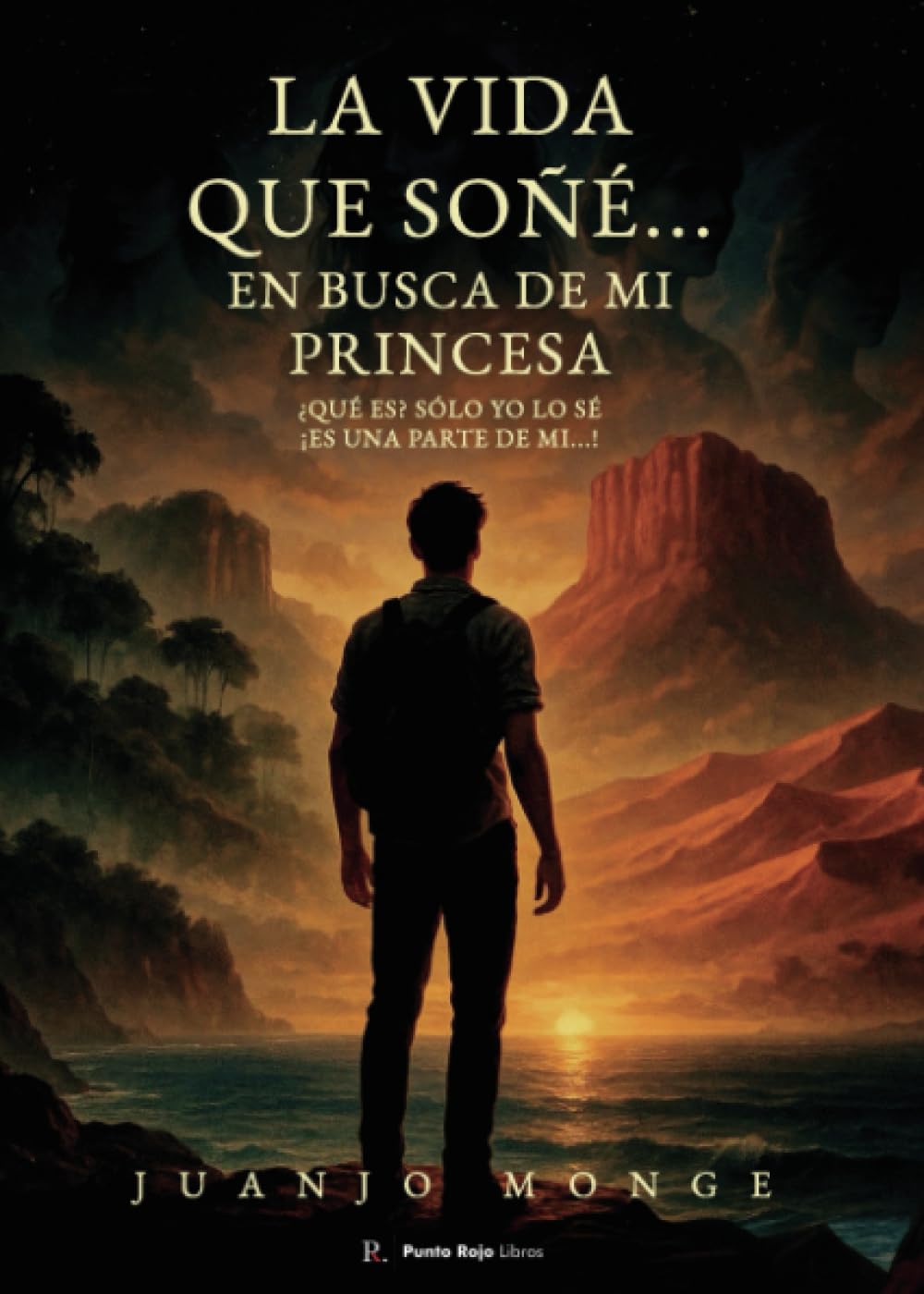 La vida que soñé...: En busca de mi princesa, ¿qué es? Solo yo lo sé. ¡Es una parte de mí!