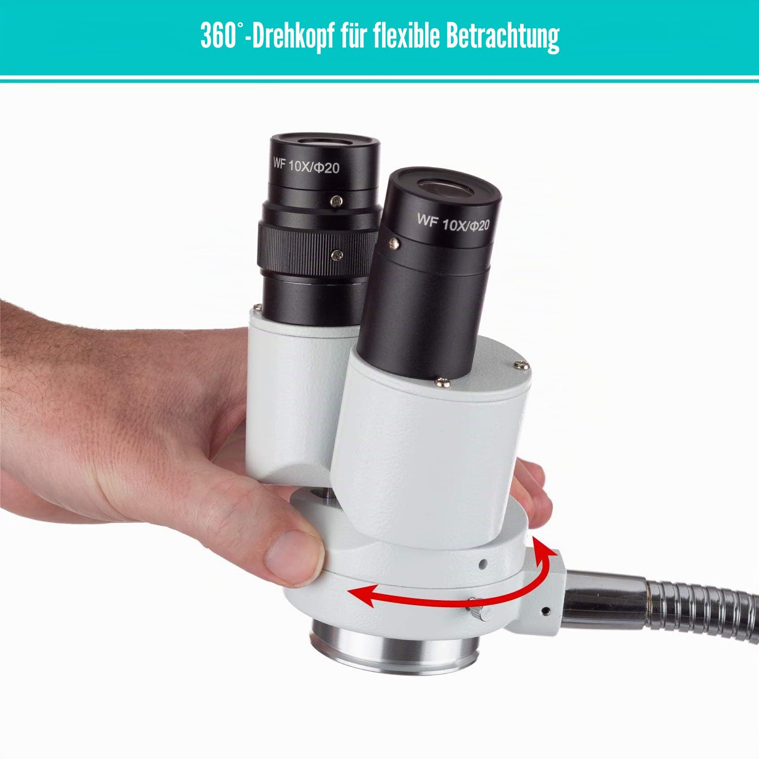 AmScope - Fernglas-Stereo-Mikroskop mit 8-facher Vergrößerung mit 360-Grad-Drehung - Zahnarzt, Labor, elektronische Reparatur, Löten, Schwanenhals-Beleuchtung - SE508