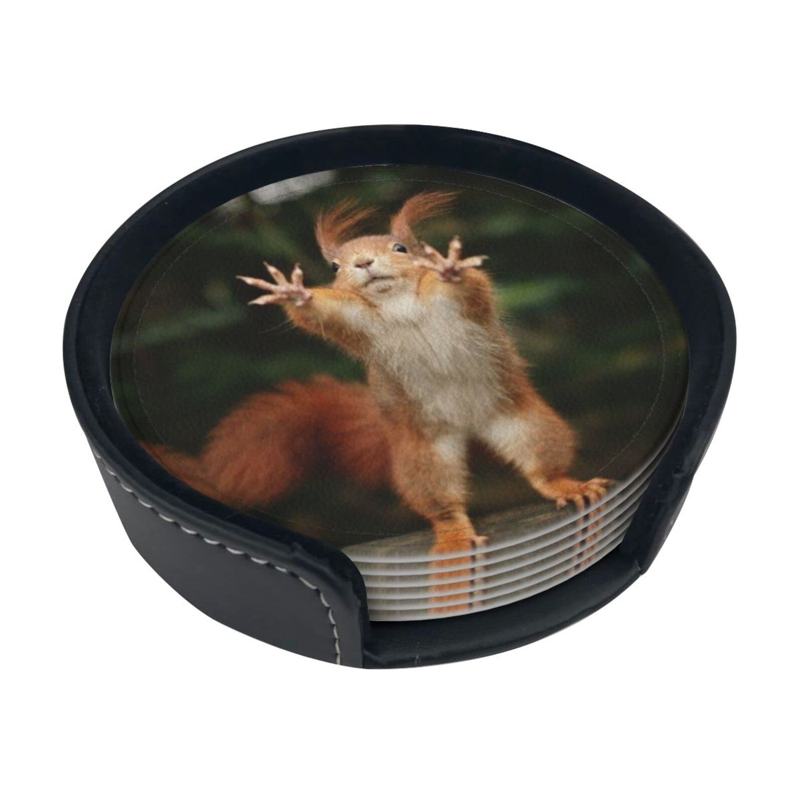 Coasters Set Of 6 Squirrel Funny Animal Print Leather Coasters For Drinks,Home Décor And Housewarming Gift
