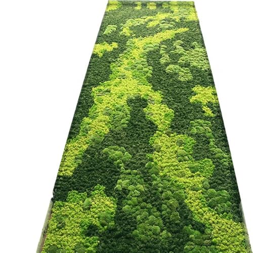 Prefleur Preserved Reindeer Moss Natural Green Diy Kit Gardenning Art Wall Decor Florist Decor Easter Table Decor Wedding Decor (0.85Lb)(Green-06) #TOP4