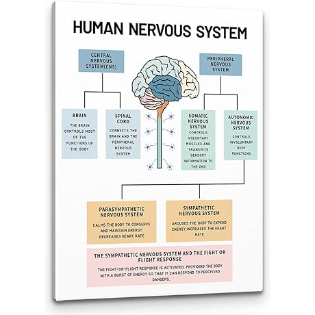 PHAMTE Psychology Posters: Enriching Minds with Art
