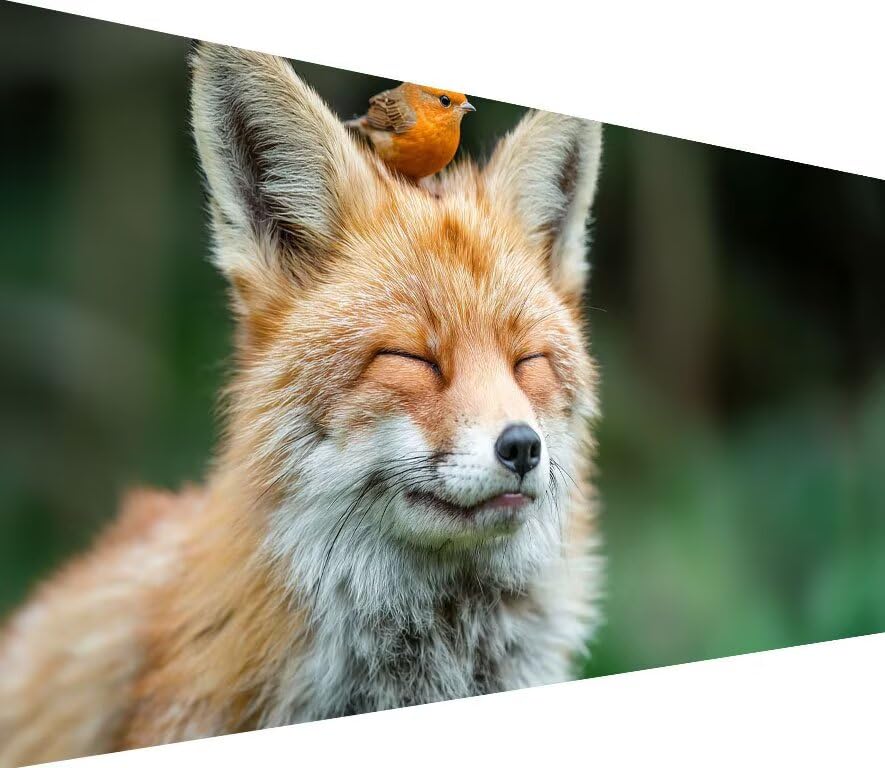 Réduire l'anxiété grâce au Diamond Painting Grand Format Renard 5D Cristal