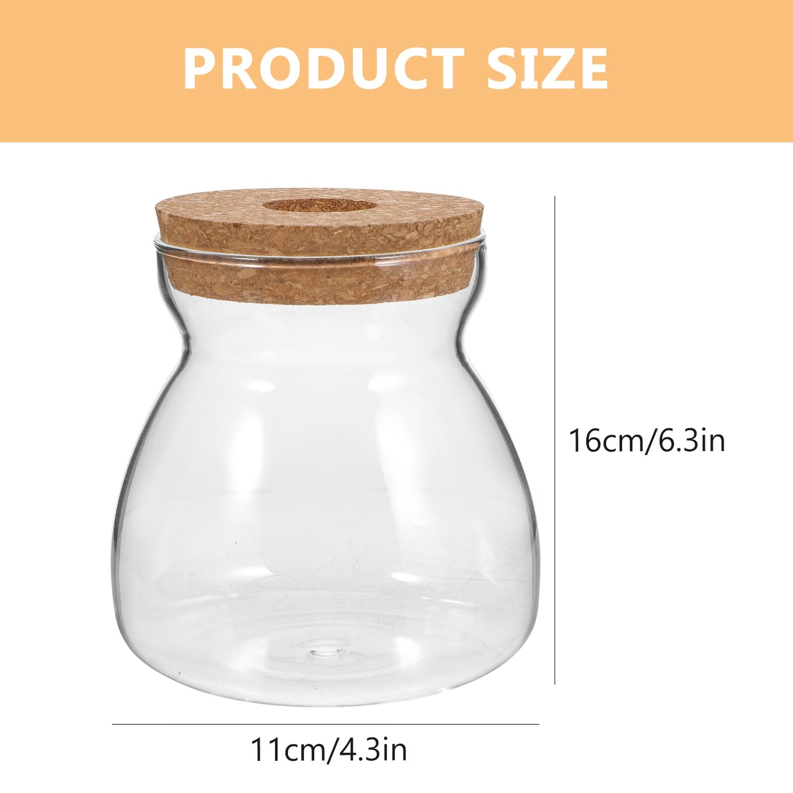 BESPORTBLE Terrario de Vidrio Recipiente de Madera y Vidrio para Plantas Hidropónicas Micro Paisaje Adecuado para Decorar Oficina o Dormitorio