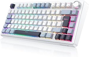 OMOTON Mechanische Tastatur Gaming, 2.4GHz/Type-C/BT, 75% Hot-Swappable Kabellos Tastatur mit Knopf, Gasket Struktur, RGB, Creamy Keybord Linearer Schalter, QWERTZ ISO-DE Layout, MK211