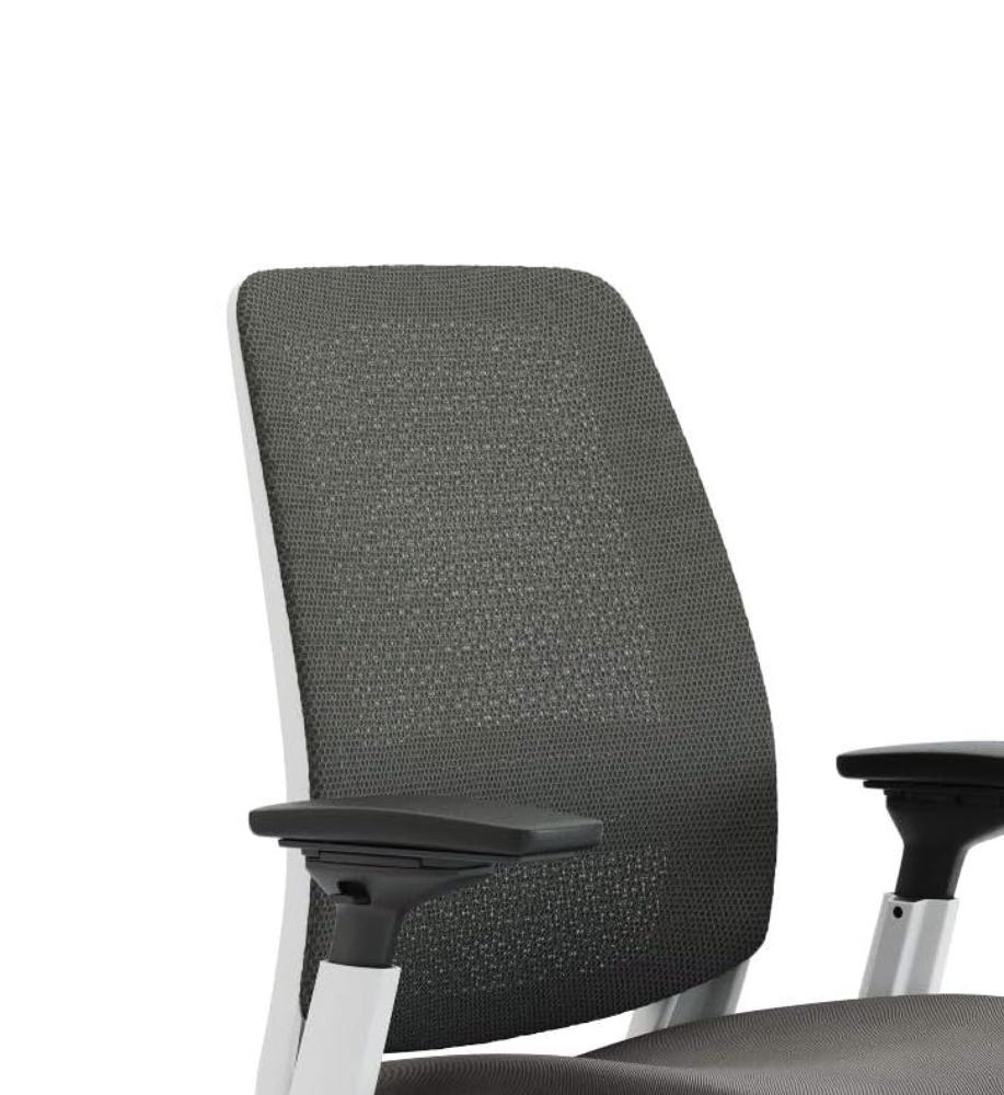 Amazon.com: Steelcase Series 2 Office Chair - Ergonomic Work Chair