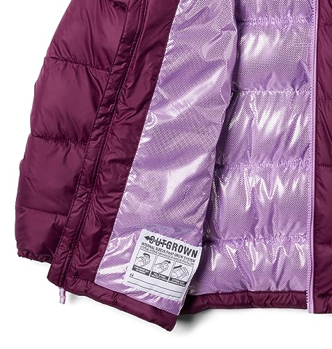 Image of Columbia Kids Pike Lakea ¢ II Hooded Jacket (Little Kids /Big Kids)