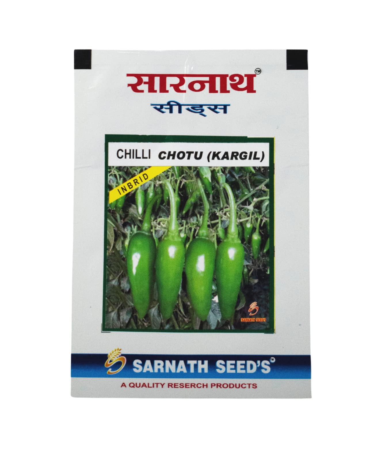 SARNATH SEEDS Growable Seed Indian Vegetable Seeds | Vegetable Seeds for Home Gardening Pots | Seeds for Planting Organic Vegetable Seeds (Chilli Bullet) (B0BH1432JH) Amazon Price History, Amazon Price Tracker