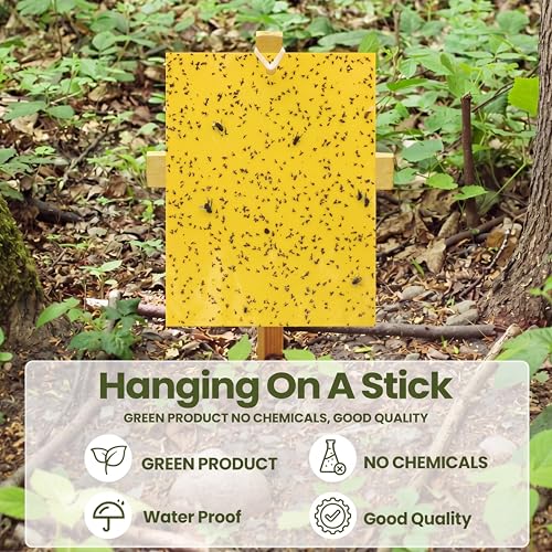Trampas adhesivas amarillas para mosquitos y moscas de la fruta 6x8 7