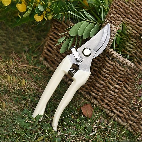 Tijeras de jardín para poda y frutas miniatura 4