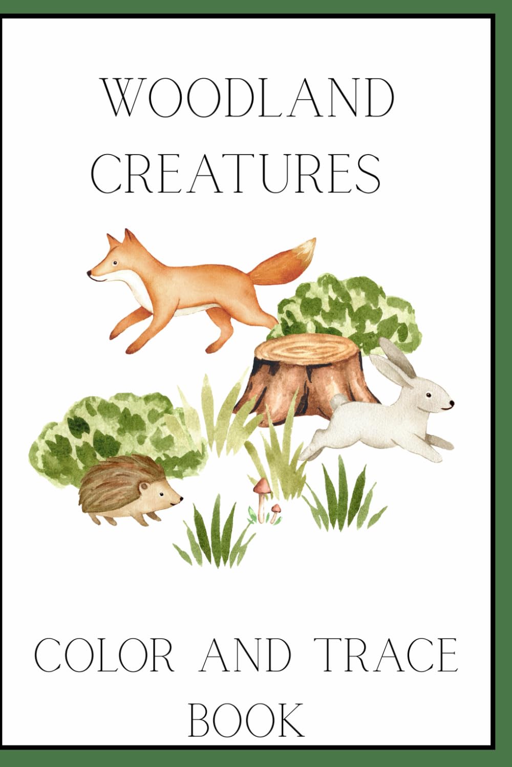 Woodland Creatures Colour and Trace Book