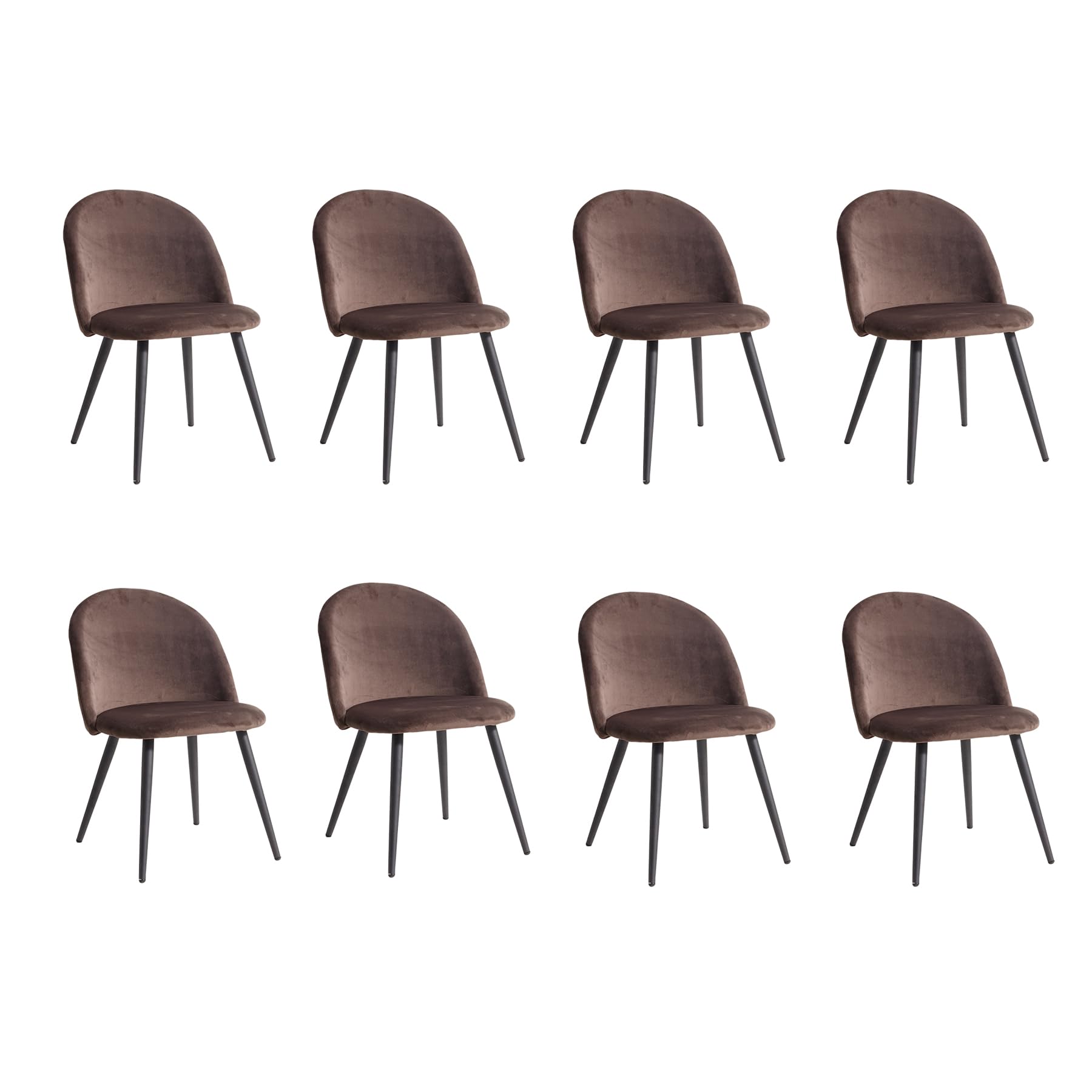 BenyLed - Set di 8 sedie da salone e cucina con rivestimento in velluto, moderne, con gambe in metallo nero (marrone)