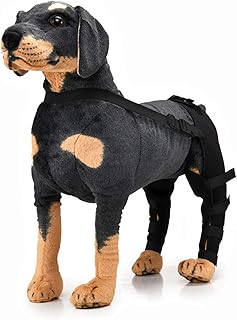 hip hound brace amazon
