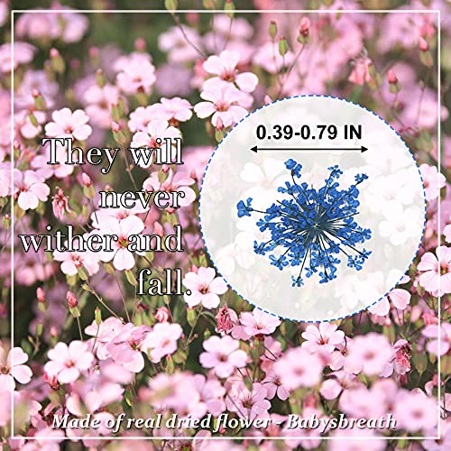 Flores secas prensadas Gypsophila para resina miniatura 2