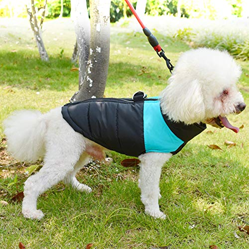 Cappotto per cani TFENG, giubbotto imbottito con