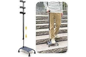 Stair Climbing Cane Lifts for Home Use: Enhanced Mobility for Seniors and Elderly
