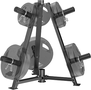 JX FITNESS Olympic 2-inch Weight Plate Tree With Barbell Holder,6-Peg Standard Weight Storage Rack Organizer for Home Gym,Barbell Plates Rack Free Weight Stand