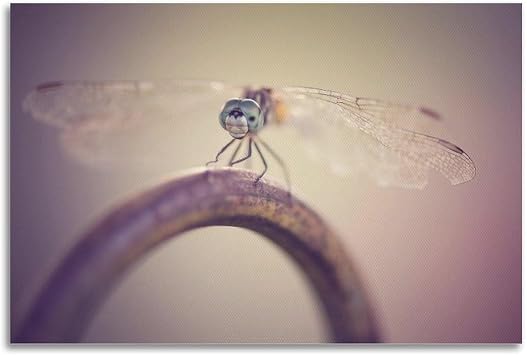CWBUFD Dragonfly Macro Photography Rustic Metal Ring Poster Decorative Canvas Family Bedroom Artwork Picture Painting 16x24inch(40x60cm)