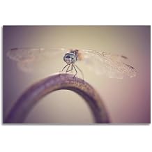 CWBUFD Dragonfly Macro Photography Rustic Metal Ring Poster Decorative Canvas Family Bedroom Artwork Picture Painting 16x24inch40x60cm