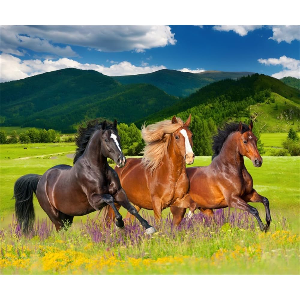 Horse Racing Backdrop 10x8ft Fabric Derby Birthday Party Decorations Wild West Cowboy Cowgirl Horse Photography Backdrops