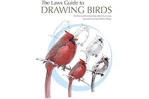 Watercolor Birds: Captivating Explanations for Bird Enthusiasts and Watercolorists
