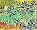 Colour Talk Diy oil painting, paint by number kit- worldwide famous oil painting Irises by Van Gogh 1620 inch.