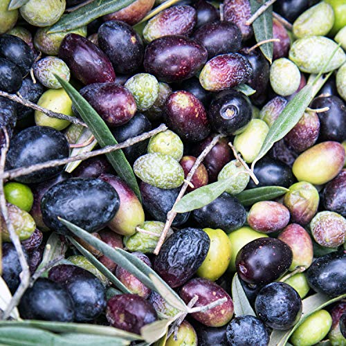WELEDA Biologische voetbalsem, natuurlijke cosmetica voetverzorging ter voorkoming en behandeling van eelt, voetcrème en ronde zalf voor de verzorging van belaste en droge voeten (1 x 75 ml) - Image 6