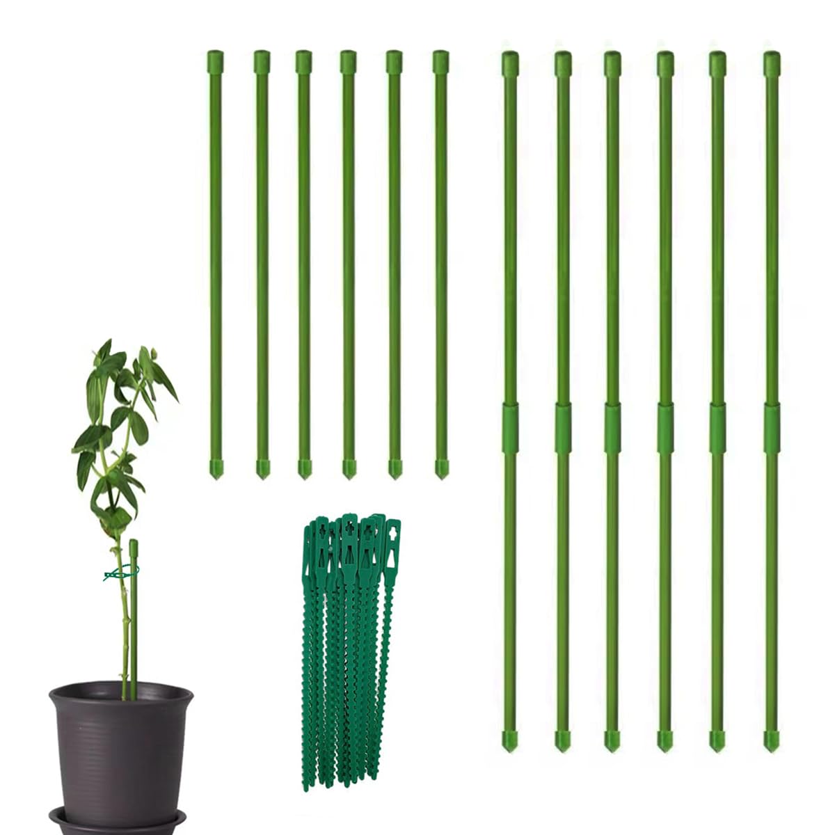 20 Pcs 12 Inch Plant Stakes with 10 Pcs Connecting Tubes, Adjust Height As Needed, 20 Pcs Twist Ties for Fixing Plants, Plant Support Stakes for Outdoor & Indoor Plants