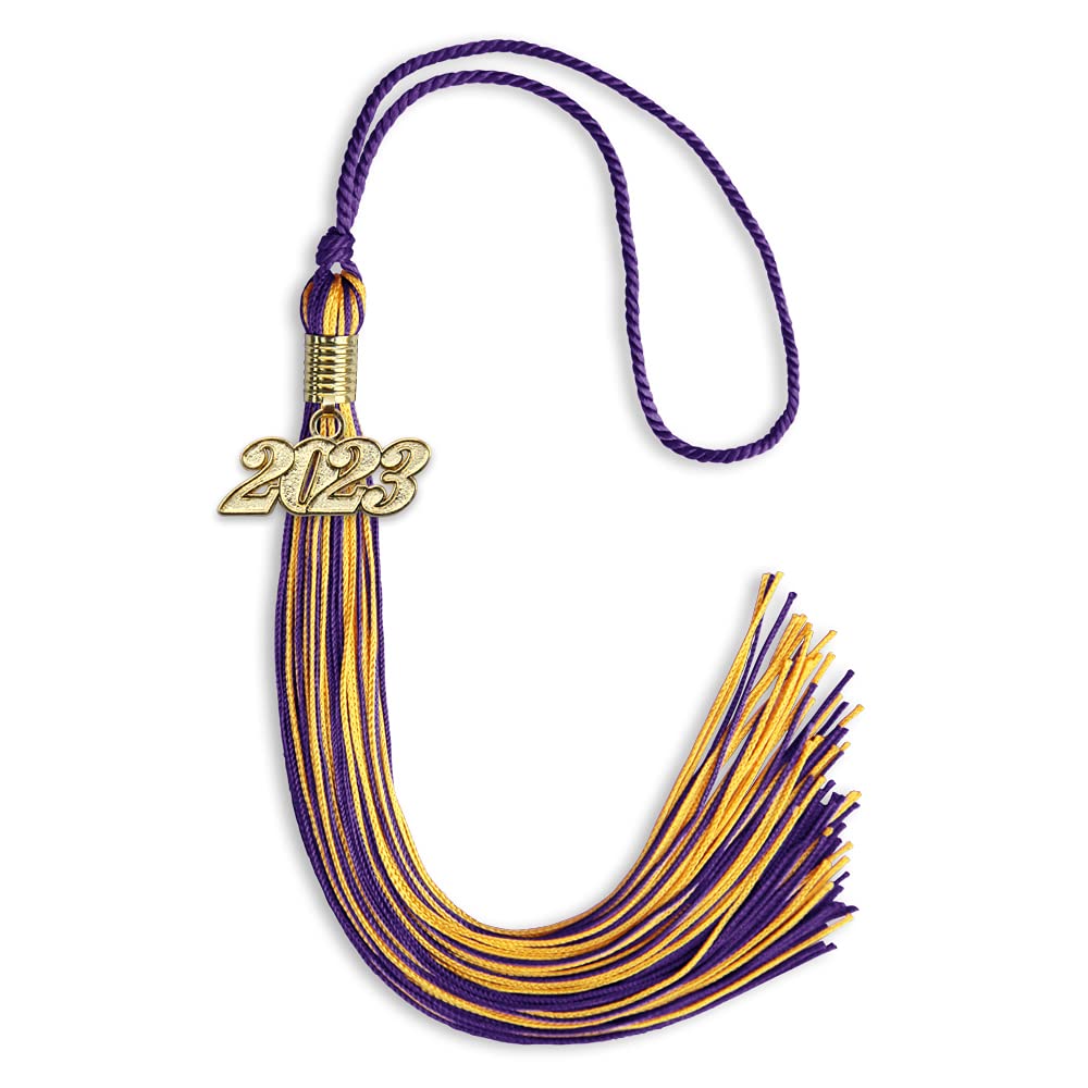 Endea Graduation Mixed Double Color Tassel with Gold Date Drop (Purple/Gold, 2023)