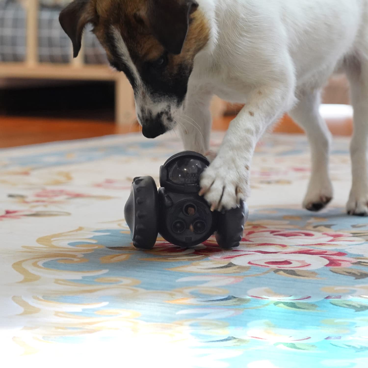 CEASELESLY Hundespielzeug - Intelligenter Futterautomat Für Katzen & Hunde