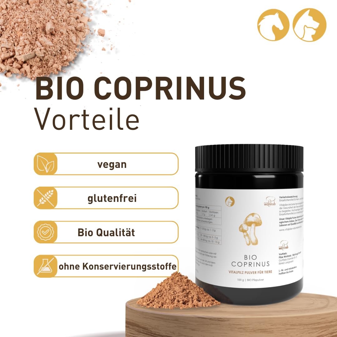 Bio Coprinus comatus Pulver für Tiere - 300 g - Reines Schopftintling Pulver - Vitalpilze - Dosierung für Tiere - 1 Dose - Höchste Bio-Qualität