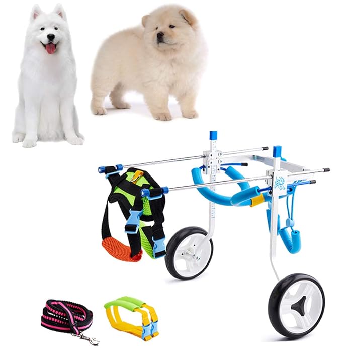 Buy Large Dog Wheelchair for Back Legs, Adjustable Full Support Cart