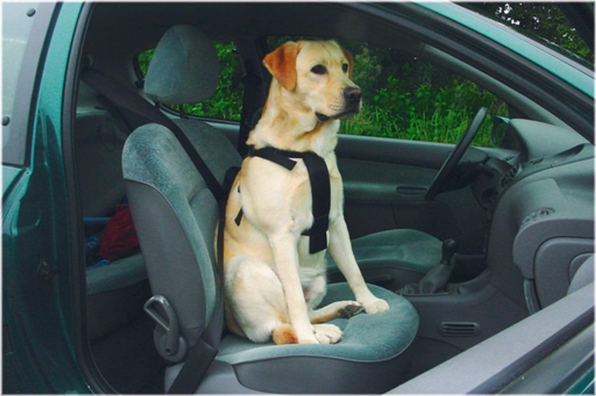 4,5 m Bahçe Bağlama Köpek Tasması