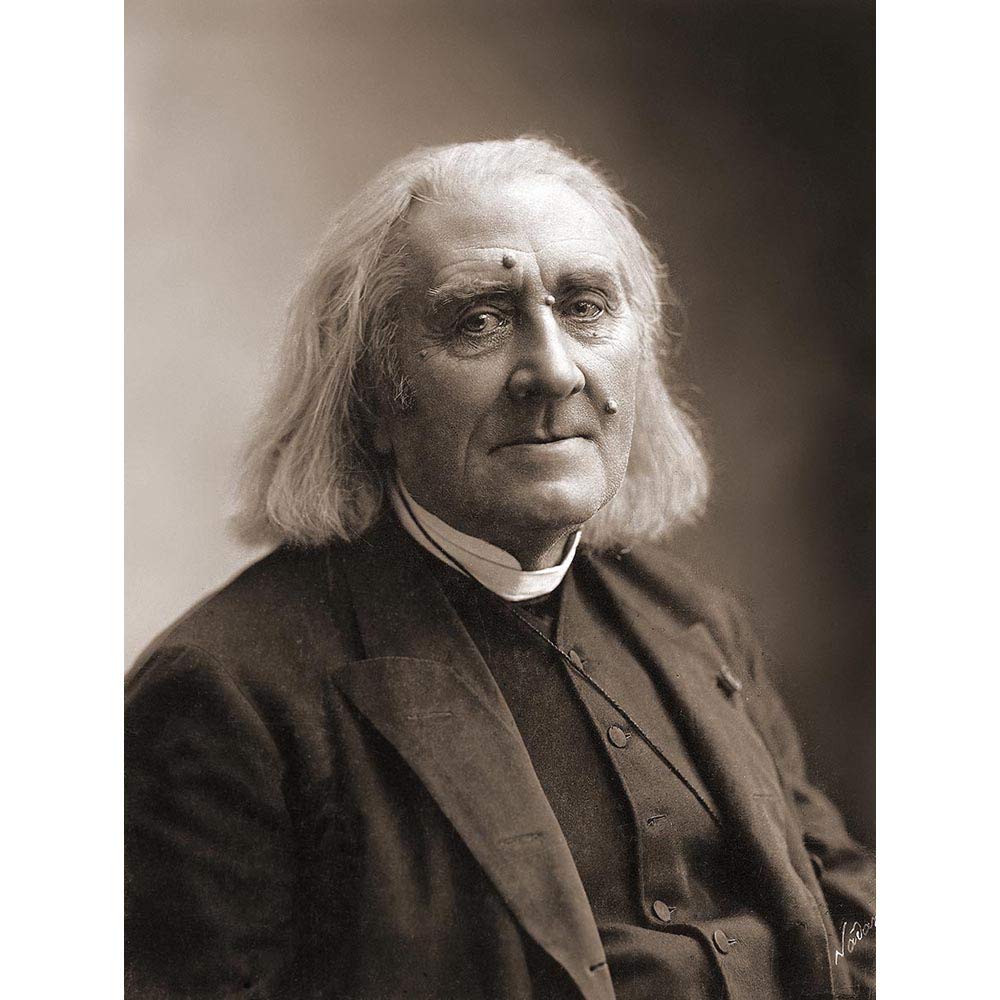 Wee Blue Coo Nadar Composer Franz Liszt Art Print Poster Wall Decor 12X16 Inch
