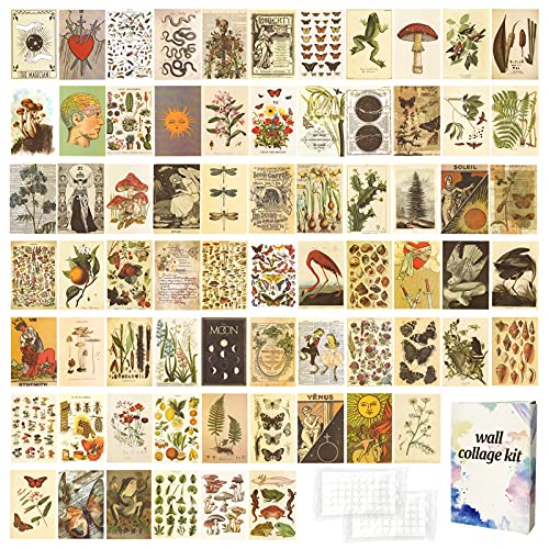 JOENCOST 70 pièces Botaniques Kit Collage Mural Vintage Art Mural, Photo vintage Esthétique botanique à la mode Petite Affiche Collages Muraux Maison Salon Chambre Cuisine Dortoir Collège Bureau Cover