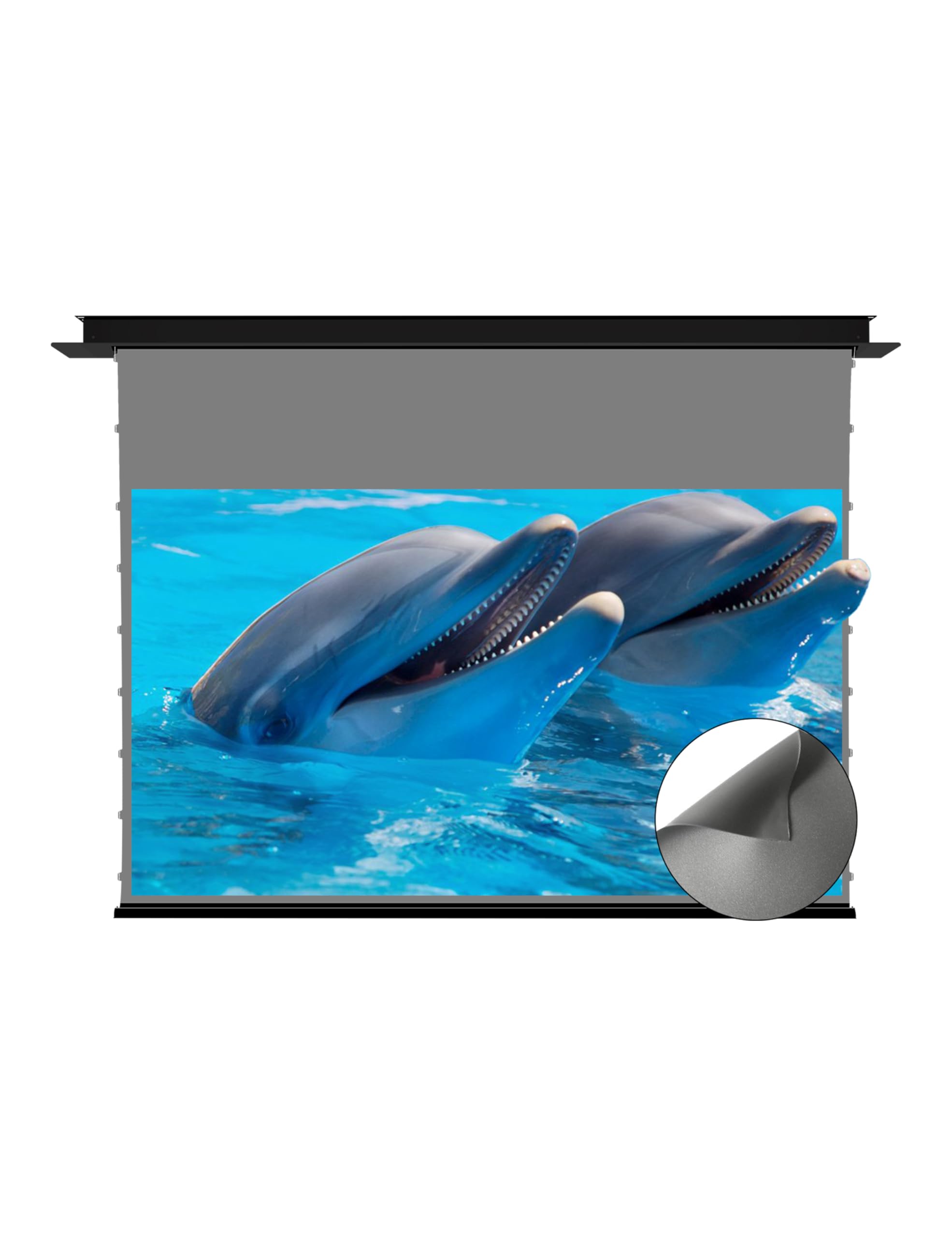 VIVID STORM SINCE 2004 100インチ Amazon | プロジェクター スクリーン 長焦点 VIVIDSTORM 4K 8K