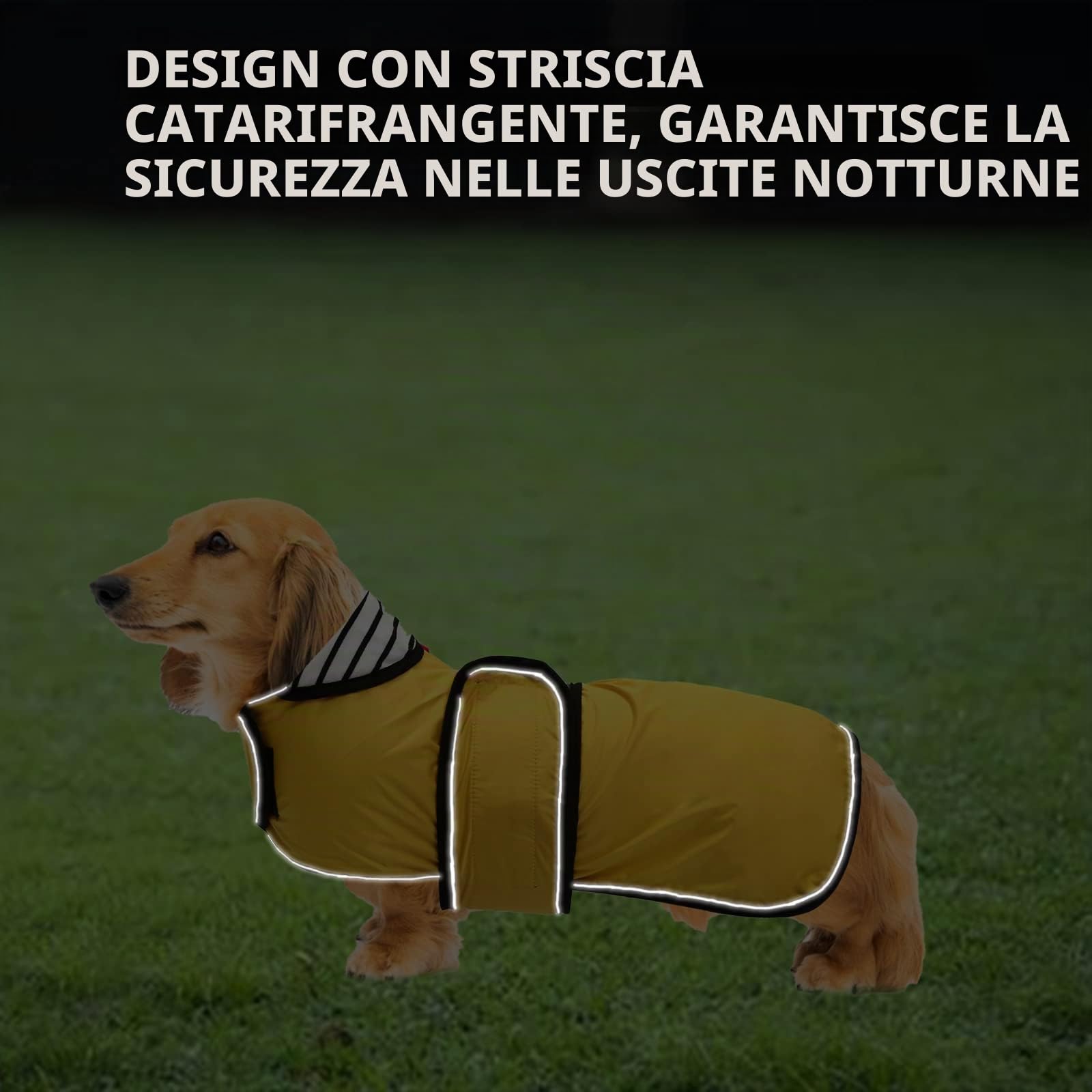 Geyecete-Cappotto Cane Impermeabile,Cappotto Bassotto,Bassotto Impermeabile Giacca con Regolabile Cintura,riflettuto Bassotto Giacca per piccola media Cani-Giallo-M