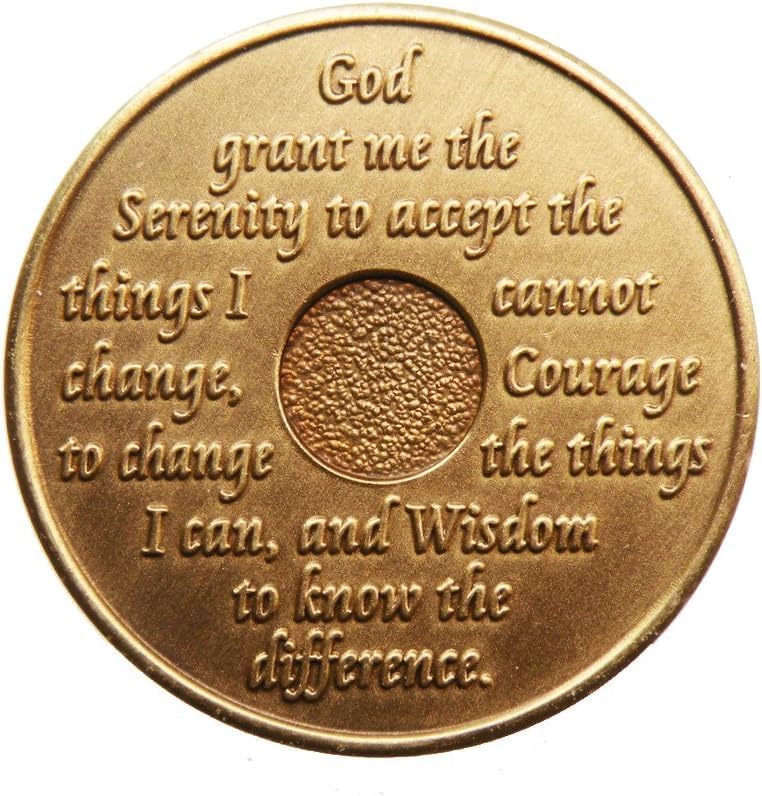 9 Month AA Medallion Metal Traditional Raised Center Sobriety Chip Serenity Prayer Back