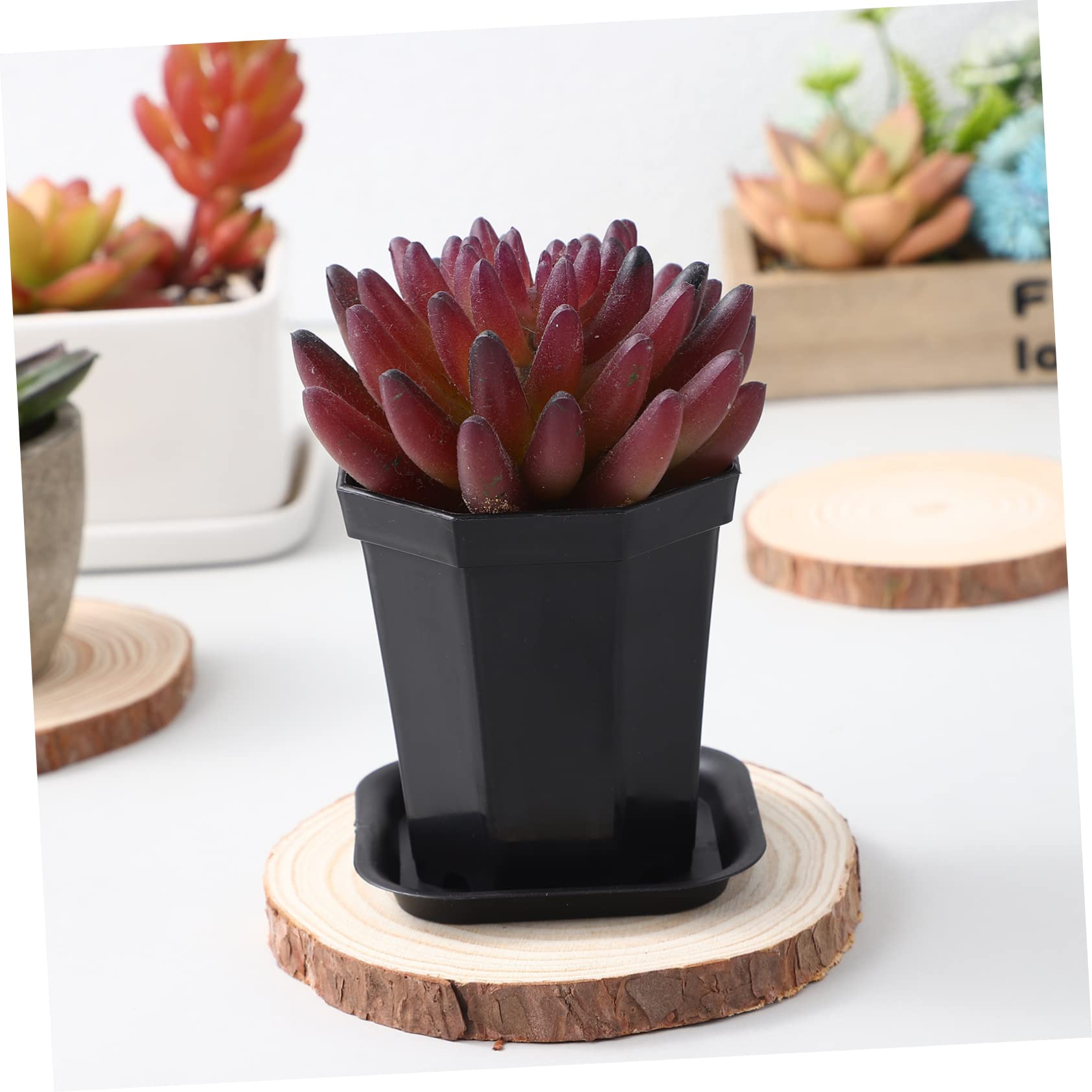 Happyyami 10 Set Flowerpot Indoor Planter Pots for Indoor Plants Flower Pots Outdoor 1 Gallon Pots for Plants Bulk Flower Pots Succulent Pots Succulents Plants Pots Plant Container